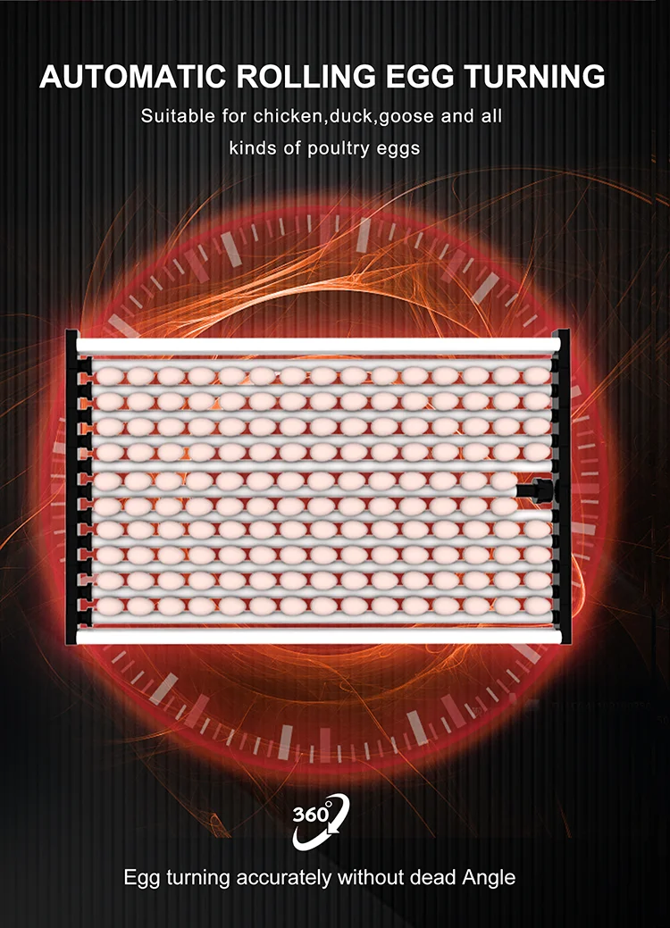 WONEGG Factory Solar Eggs Automatic Incubator For Egg Incubator 10000 Egg Hatching Machine