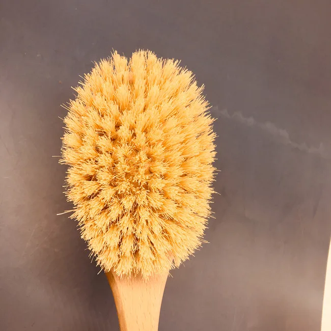 Cactus Long Handle Natural Bristle Cleaning Brushes Spa Shower Body Brush Wooden Bath Brush for Body Scrub