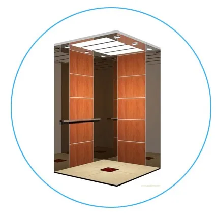AC VVVF 4 Persons Elevator Home Lift Home Mini Lift