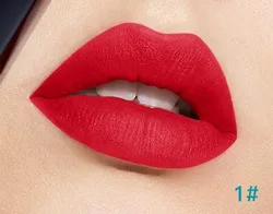 Waterproof Vegan Make Your Own Logo Matte Liquid Lipstick high pigment Custom Lipstick private label