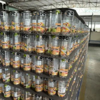 Wholesale Soda Drink and Low Calorie Strong Gas Orange Flavor Soft Drink