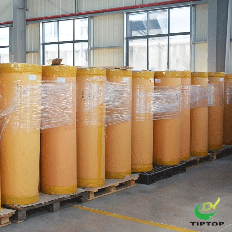 Tiptop PET clear sheets roll pet sheet roll for thermoforming and vacuum packing with blister products