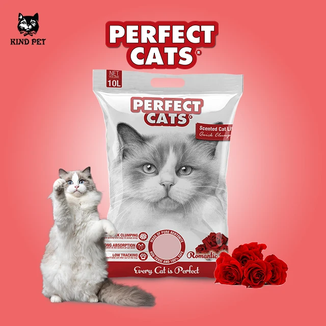 Best Sell Pet Product Clumping Absorbency Kitty Sand Cat Litter