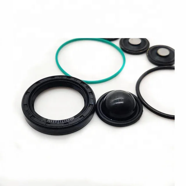 ACK 1920.AR Z22YH Fuel Injection Pump Repair Kit For Citroen
