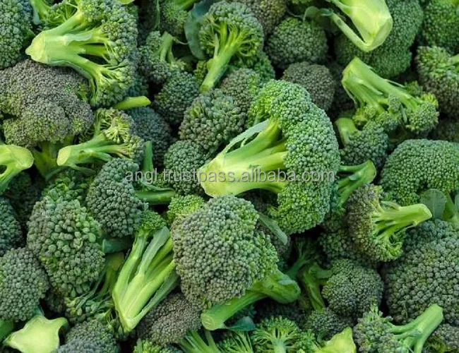 
Supplying fresh Broccoli broccoli price from Vietnam with high quality _Vikafoods (+84983028718) 