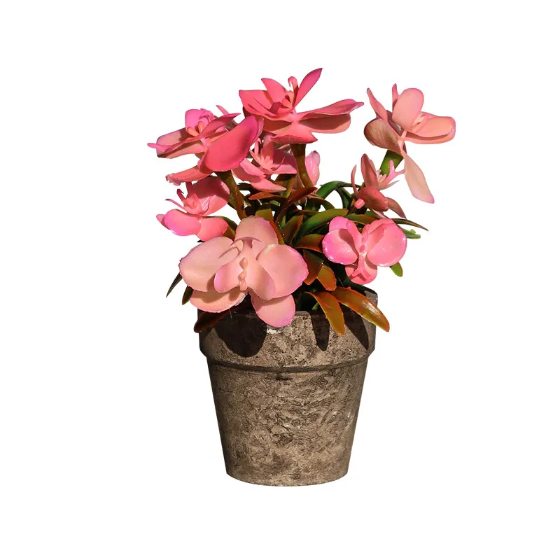 
Wholesale Mini Plastic Artificial Plants Potted Lifelike Flowers for Decoration in Different Colors 