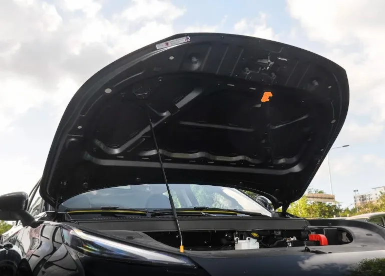 Dongfeng Fengxing Leiting 2024 2023 Thunder 430 630 Elite Pro+ Ultra Young New Energy Ev car