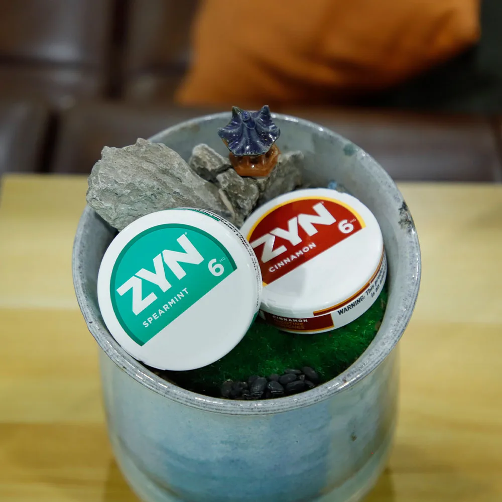 Оптовая продажа ZYN Snus Can Nicotin пакеты для производства завода по изготовлению на заказ PP чехол