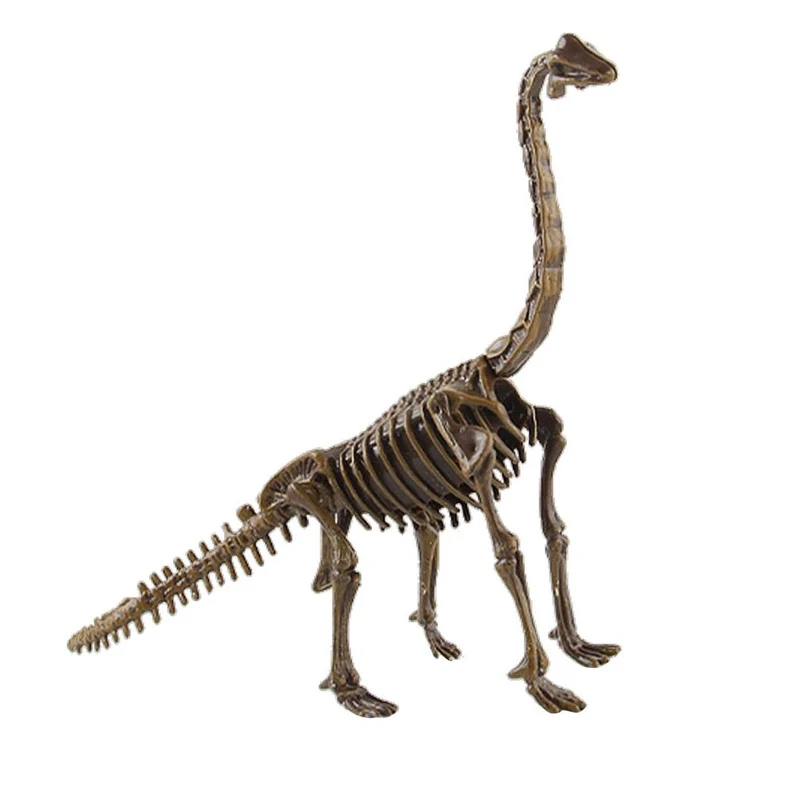 Wholesale Dinosaur Fossil And Excavation For Kids Science Kits For Boys Girls Age 6 And Up