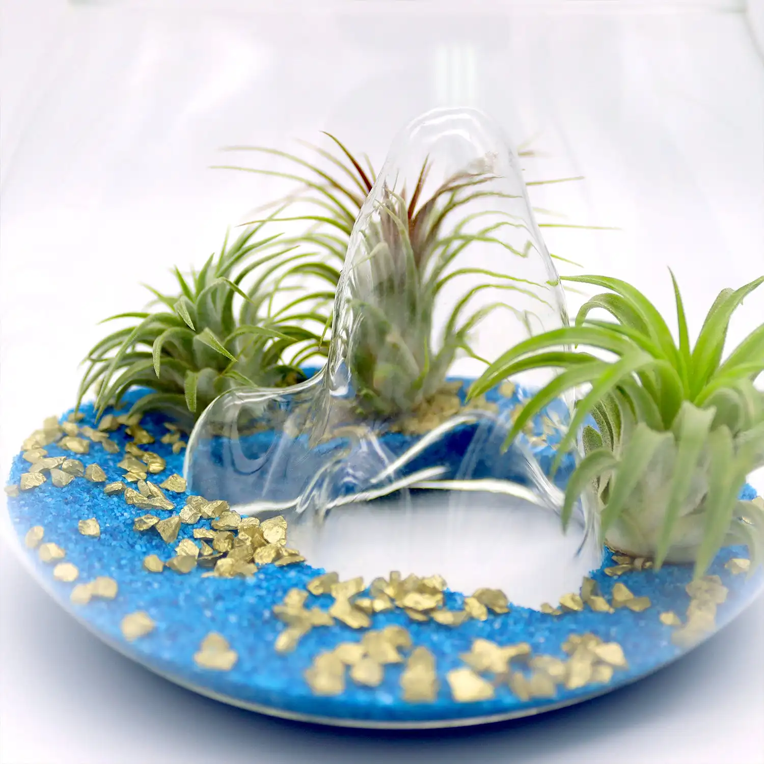 OEM Treasure Island Air Plant Terrarium Terrario De Plantas De Vidrio Mini Terrarium Kit