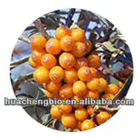 Nsf-cgmp 1%-20% флавоны хиппопы Rhamnoides фруктовый экстракт облепихи в порошке