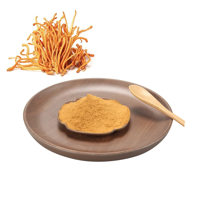 cordyceps militaris functional liquid cordyceps militaris medicine grade