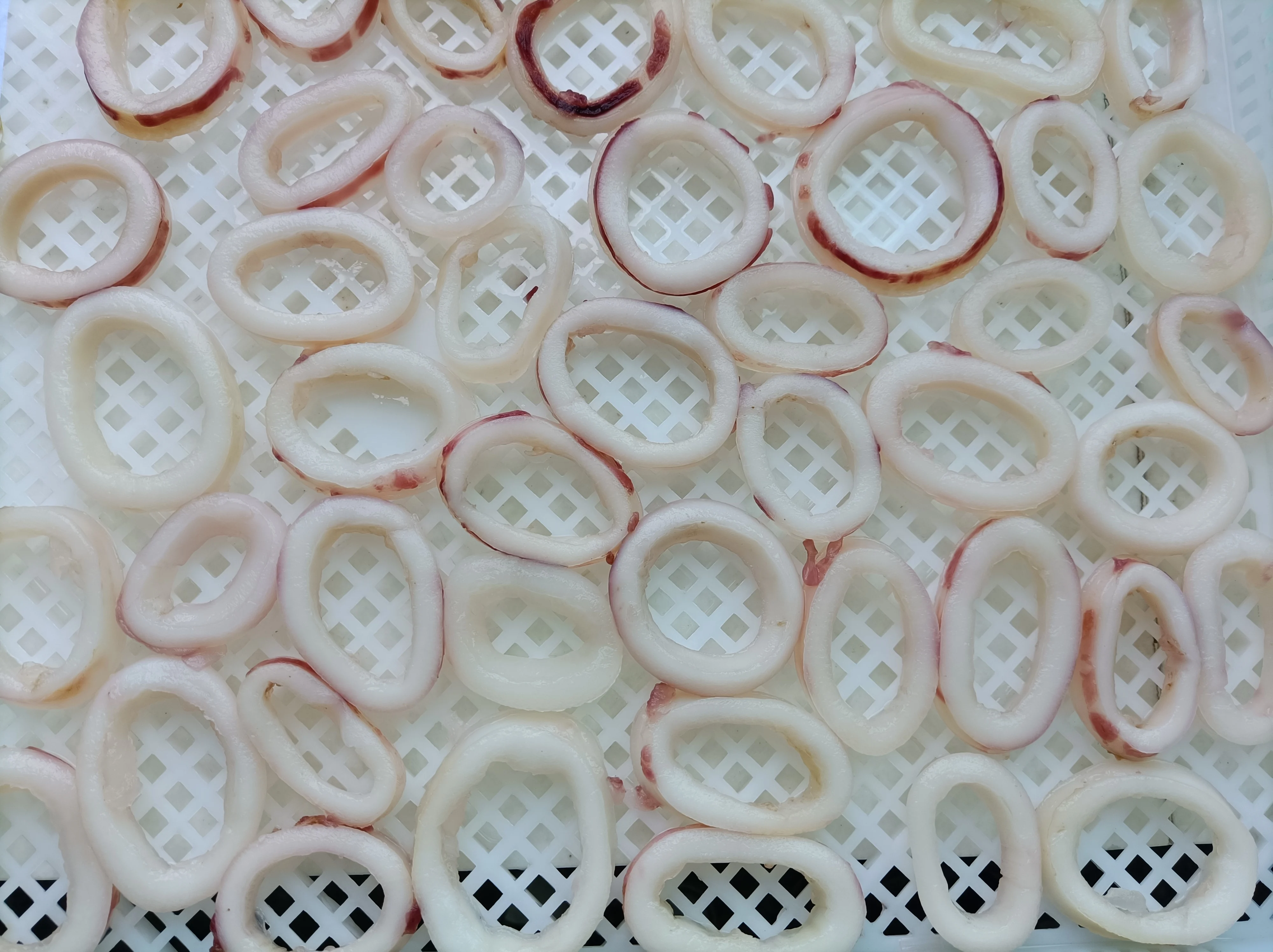 Clean Squid Rings Led Squid Ring Frozen Blanched Squid Rings