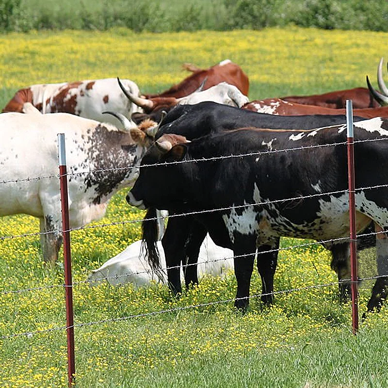 Factory Supply 8 Feet Q235 Rail Steel T Bar Posts 6ft Post Farm Fencing High Strength Metal Post