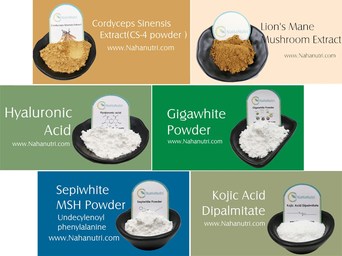 AOGUBIO OEM чистый органический порошок корня цикория инулина