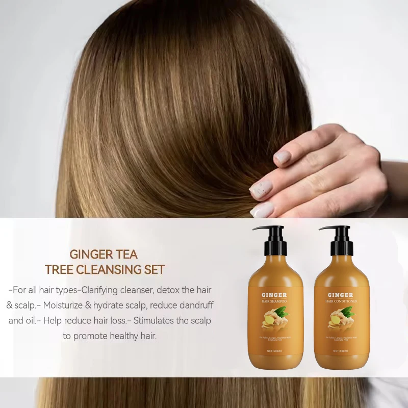 Cheap Prices Hair Care Sets Anti Hair Loss Anti Off Organic Natural Herbal Ginger growth Hair Shampoo And Conditioner Set