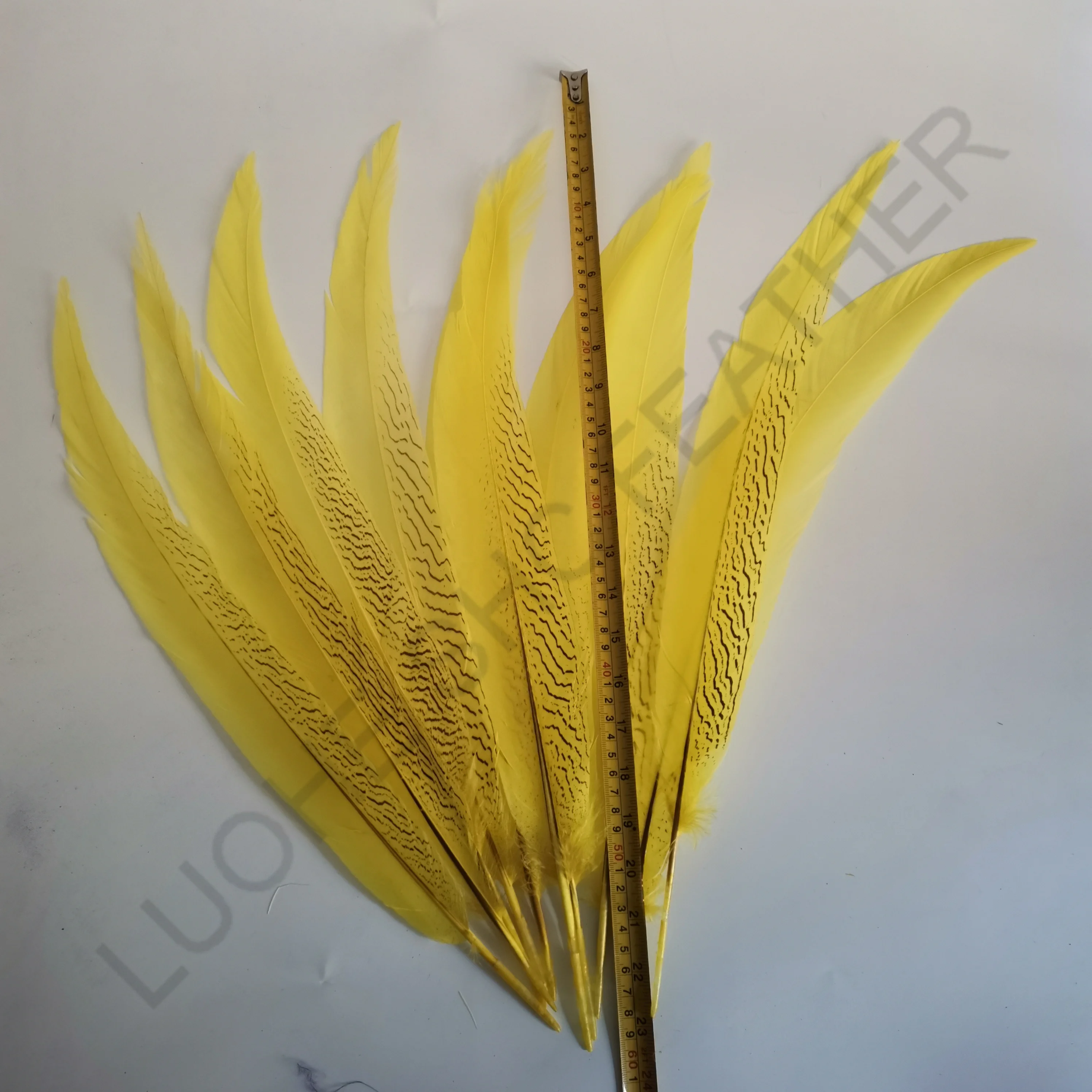 Cheap sale 22-24 inch Natural dyed colors Silver Pheasant Tail Feather for carnival dance and performance headdress decoration