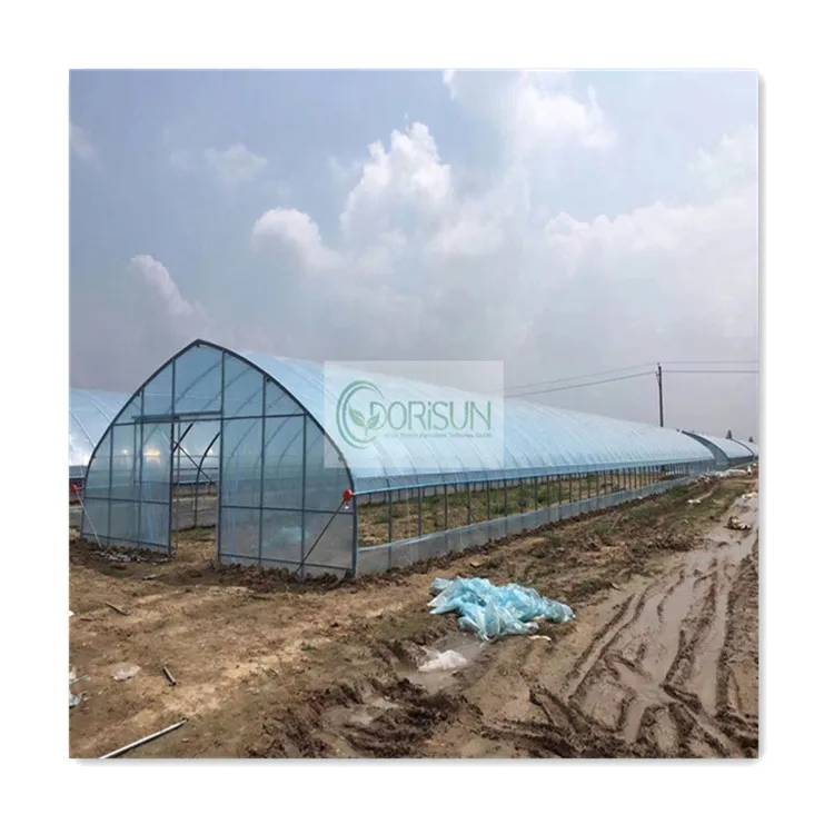 Bestselling vegetables growing hoop house single span agricultural tunneling greenhouse with good quality