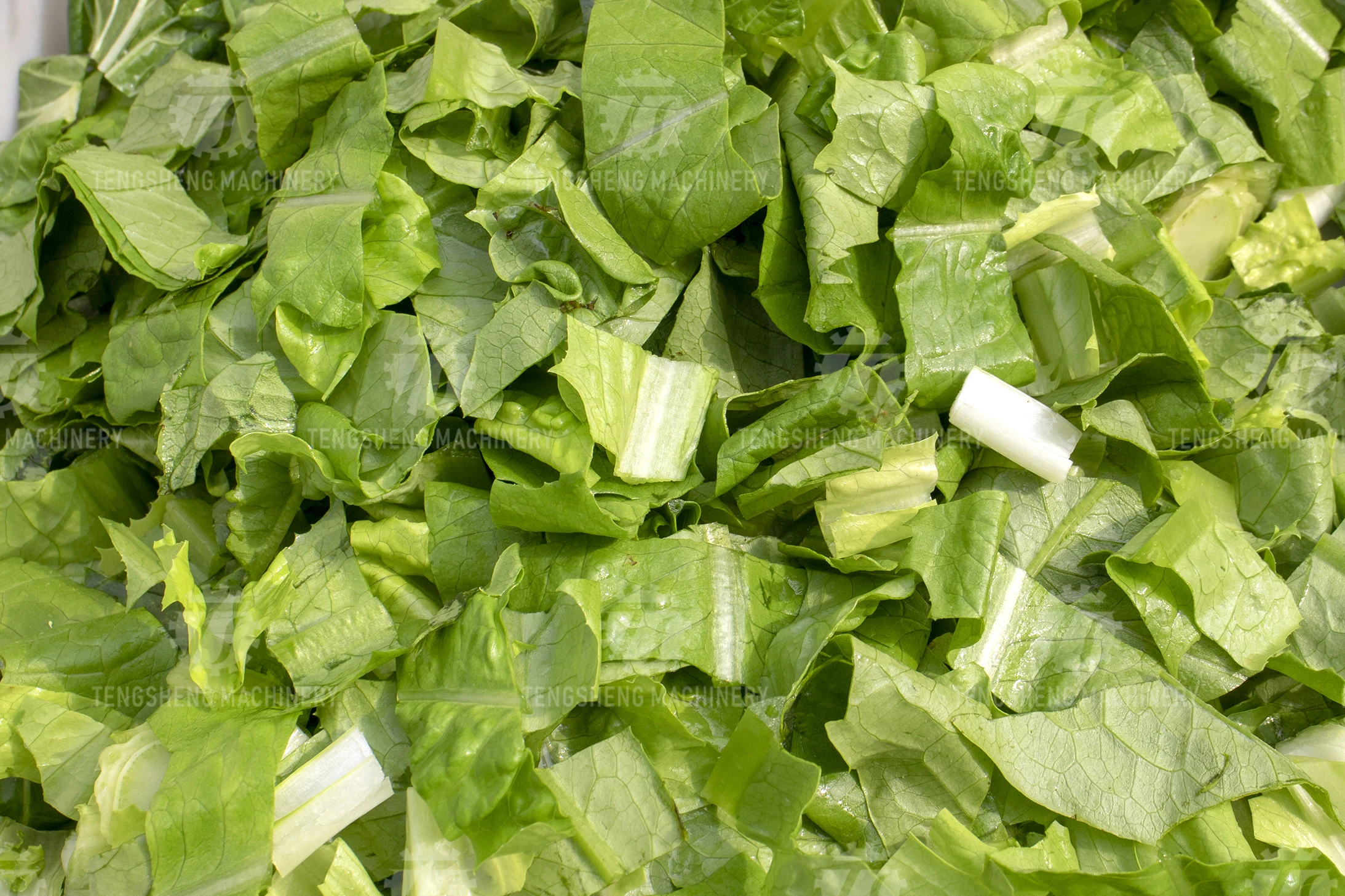 Commercial Electric Potato Vegetable Cutter Machine Cube Ginger Potato Tomato Carrot Slicing Machine