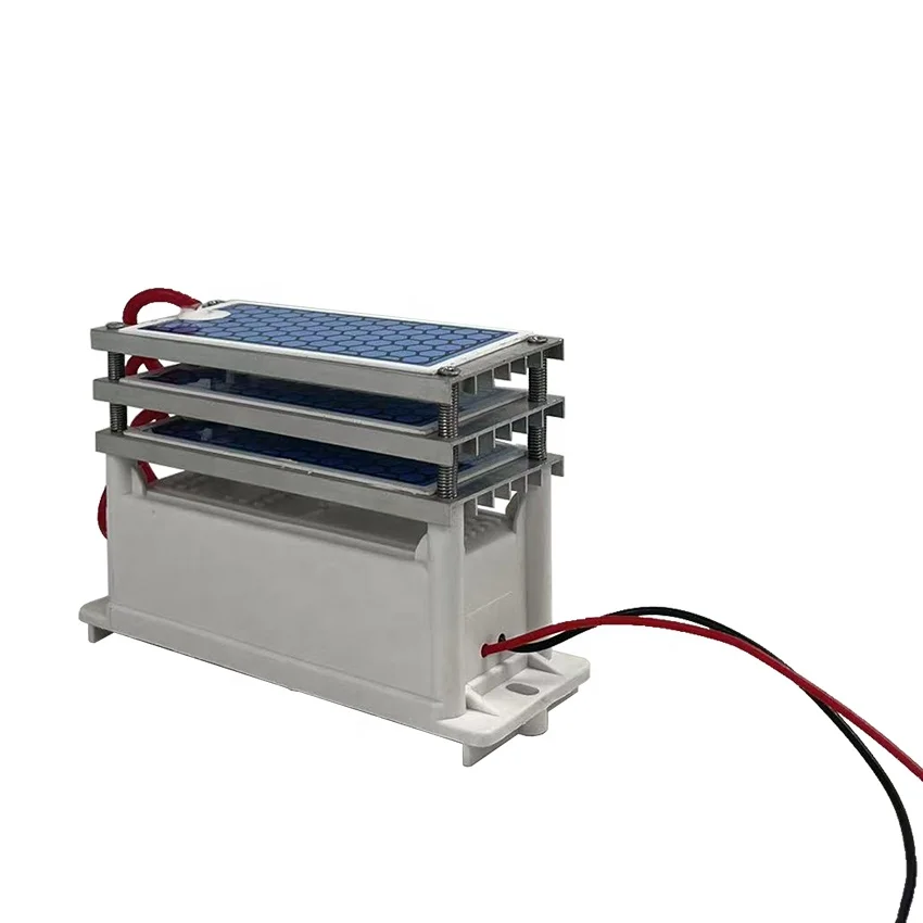 Ozone Generator - Ceramic Chip Ozone Generator - 5g/H,10g/H Output - Tank Heat Dissipation Upgrade