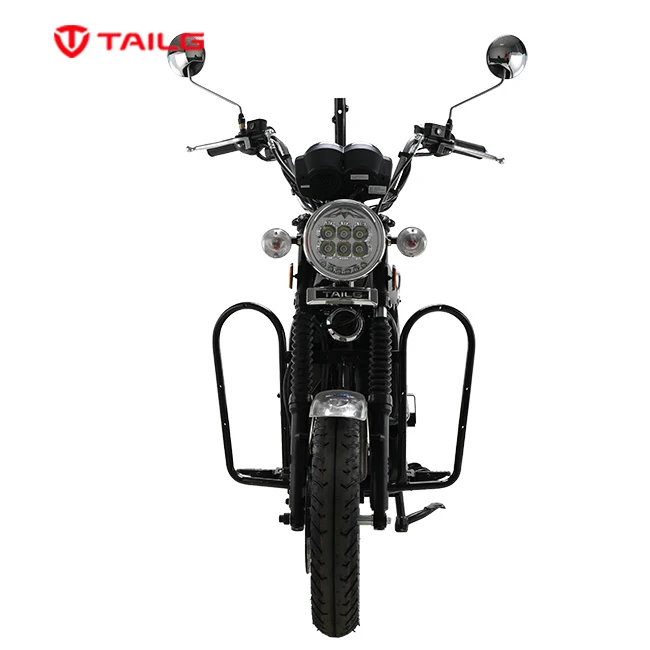 1000W 120Km range far distance electric bike for cargo
