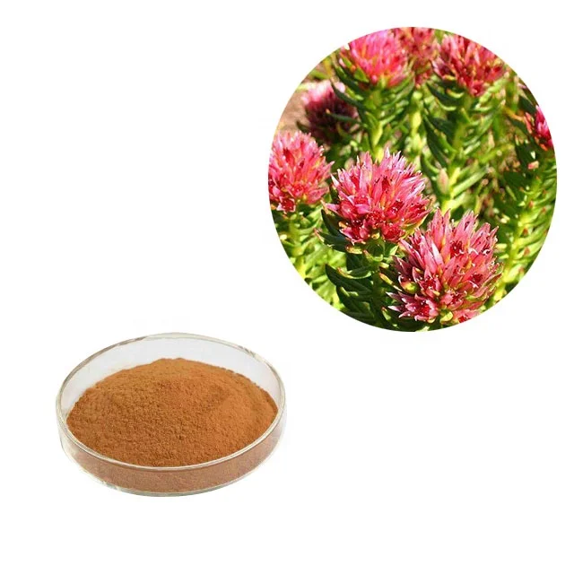 High quality high quality rhodiola rosea extraction powder