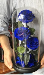 Wholesale Preserved Roses Preserved Roses With Stem in glass dome From Yunnan