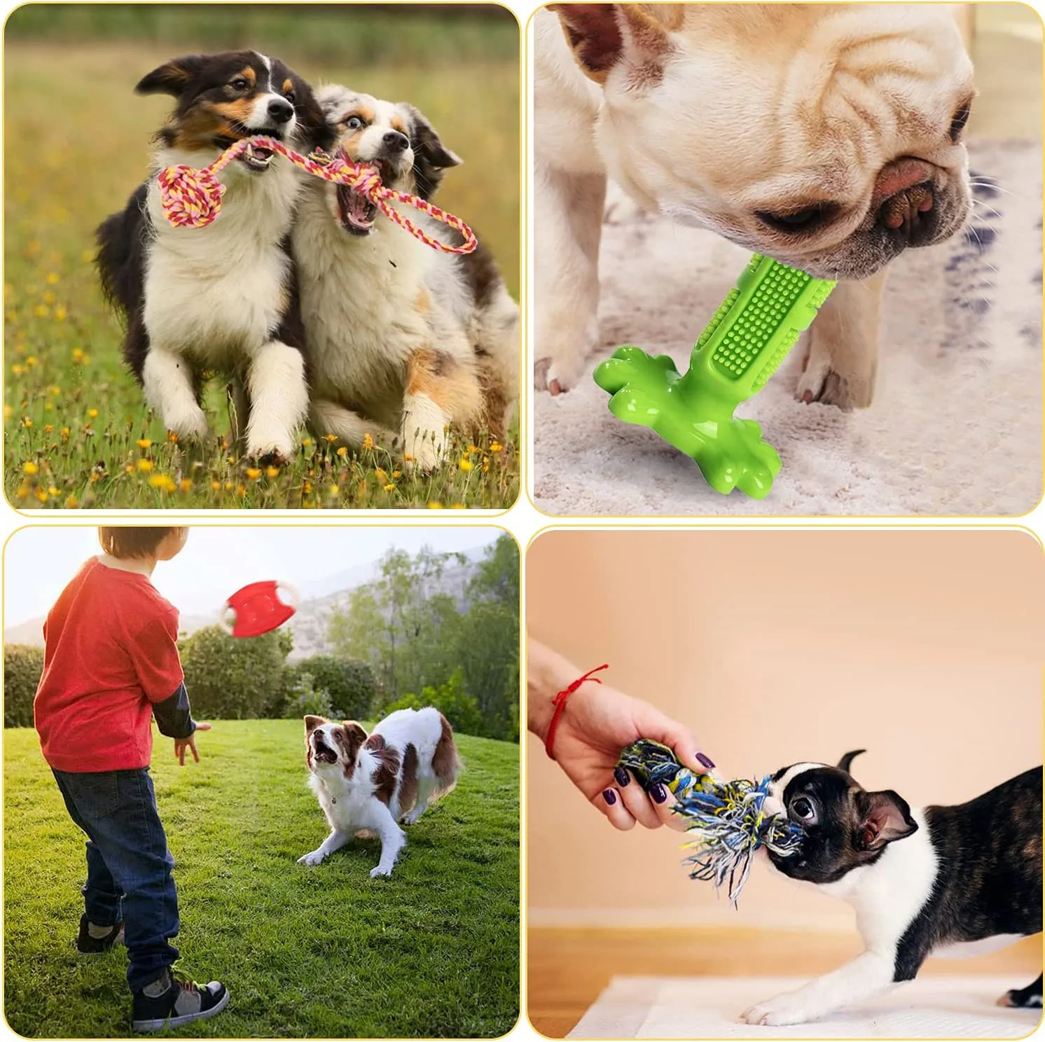 Kingtale Pet Supplies Dog Chew Toys Puppy 18 Pack Puppies Teething Chew Toys With Dog Toys Pet Accessories of pet supplies