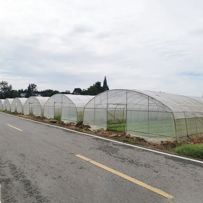 Однопролётный политуннельный теплица сельское хозяйство инвернадеро китайский зеленый дом используется для продажи