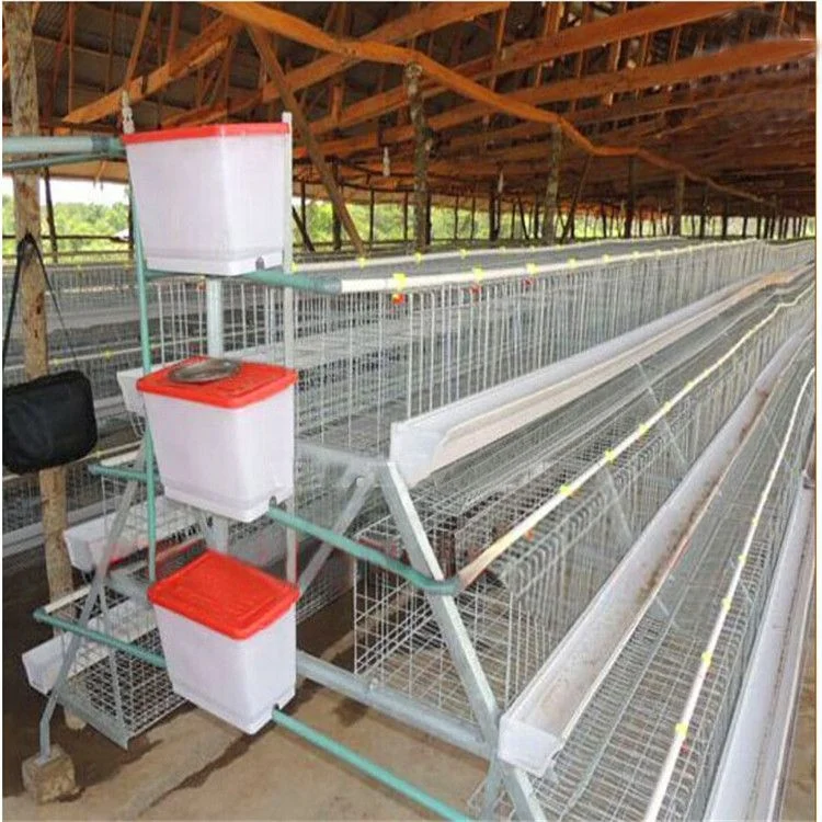 hot sales automatic 1000 chicken broiler cages