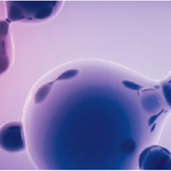 Портативный анализатор Ct Pt DSC Gf106T, анализатор экстракта лекарственных растений, анализатор иммуноанализа