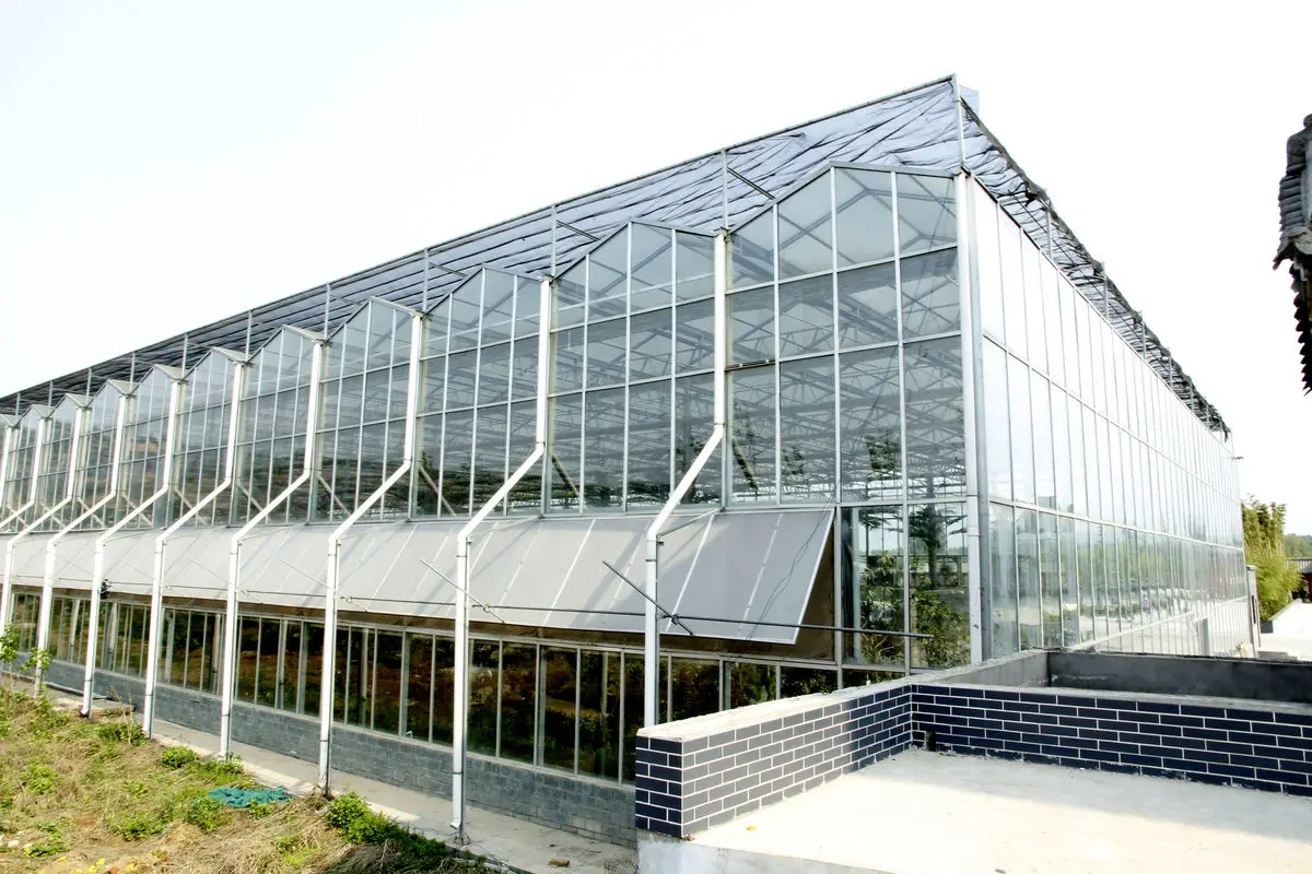 Greenhouse Construction/ Low Price Commercial/ Professional  Glass Agricultural Greenhouse  For Sale