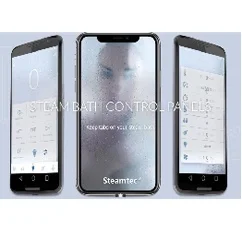 Aroma Power Saving Commercial Steamer Generator For Bath Shower Fragrance Diffuser Mobile Sauna Spa Touch Control Hammam