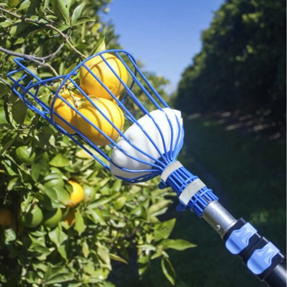 One99 Orchard Twist-On Fruit Picker Tree Picking Tool Harvester Head Basket Apple Catcher with Foam Cushion to Prevent Bruising