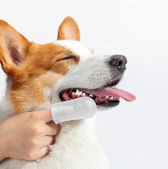 Экологичные салфетки для ухода за зубами собак и кошек