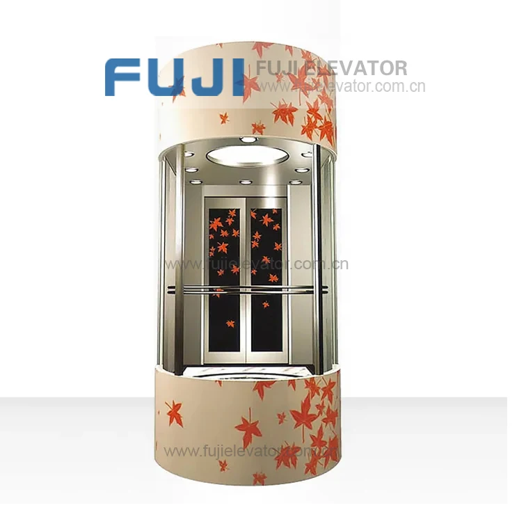FUJI Glass Elevator  Residential Cheap Passenger Elevator Lift Small Dumbwaiter Home Lift For Sale