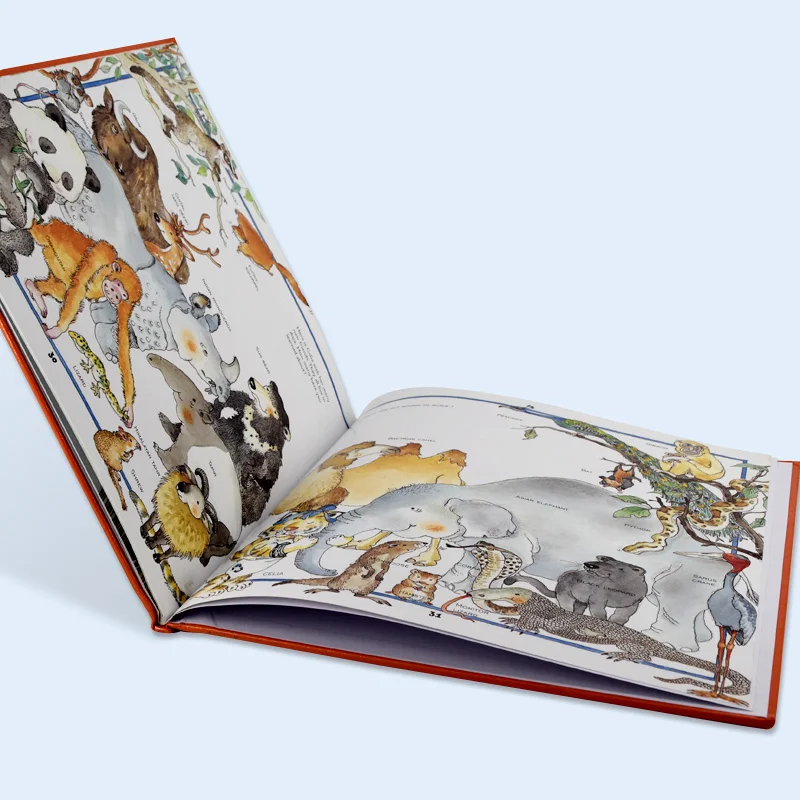 OEM baby tiger Hardcover picture book recognize animals books