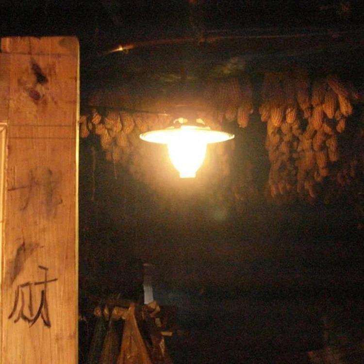 wholesale price gas biogas lamp light appliance equipment accessory for sale