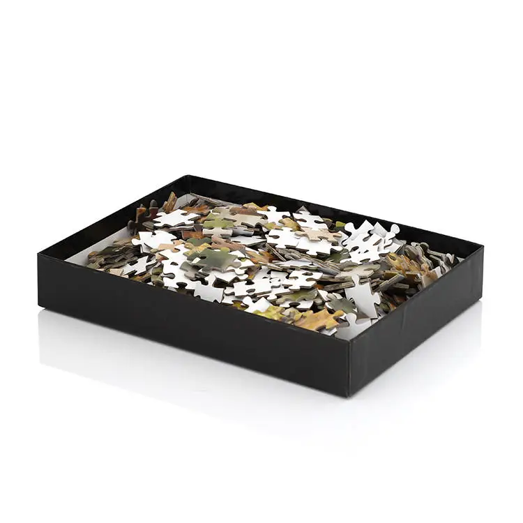 BSCI Wholesale Brain Iq Training Puzzle Educational Puzzles Adult Jigsaw Puzzle Toy