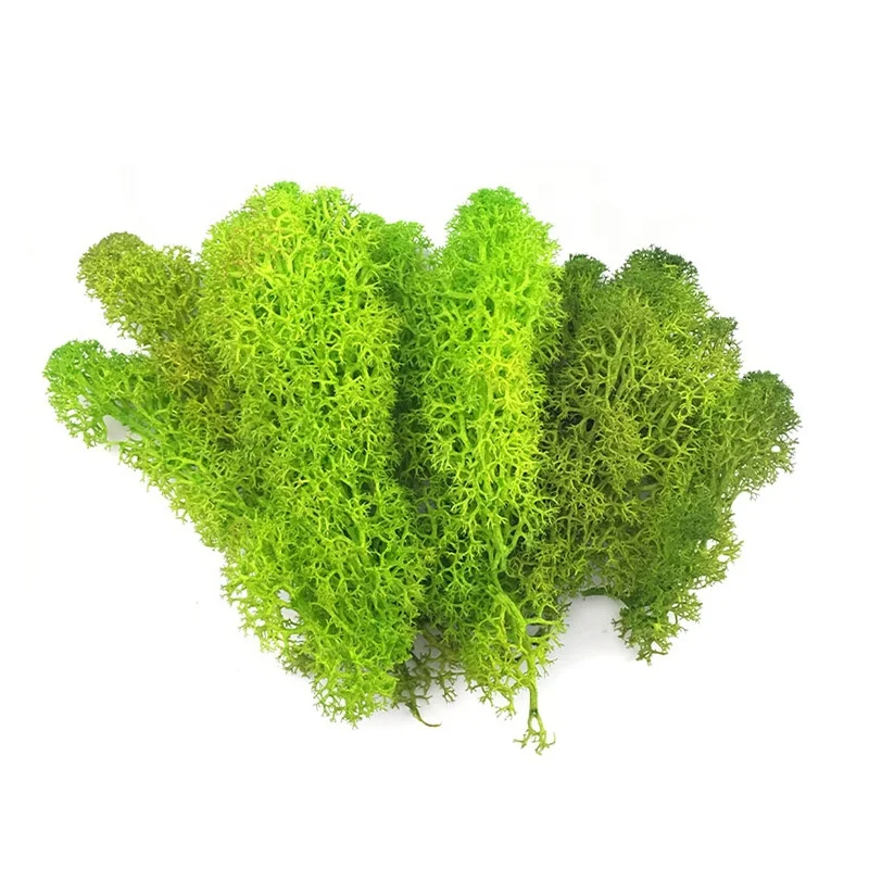 2020 Home Decor China Products Manufacturers Artificial Natural Plants Real Preserved Moss for Wall Decor