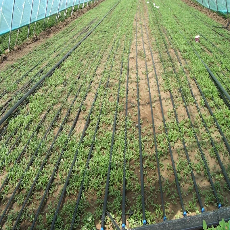 Recommend Plastic irrigation system automatic