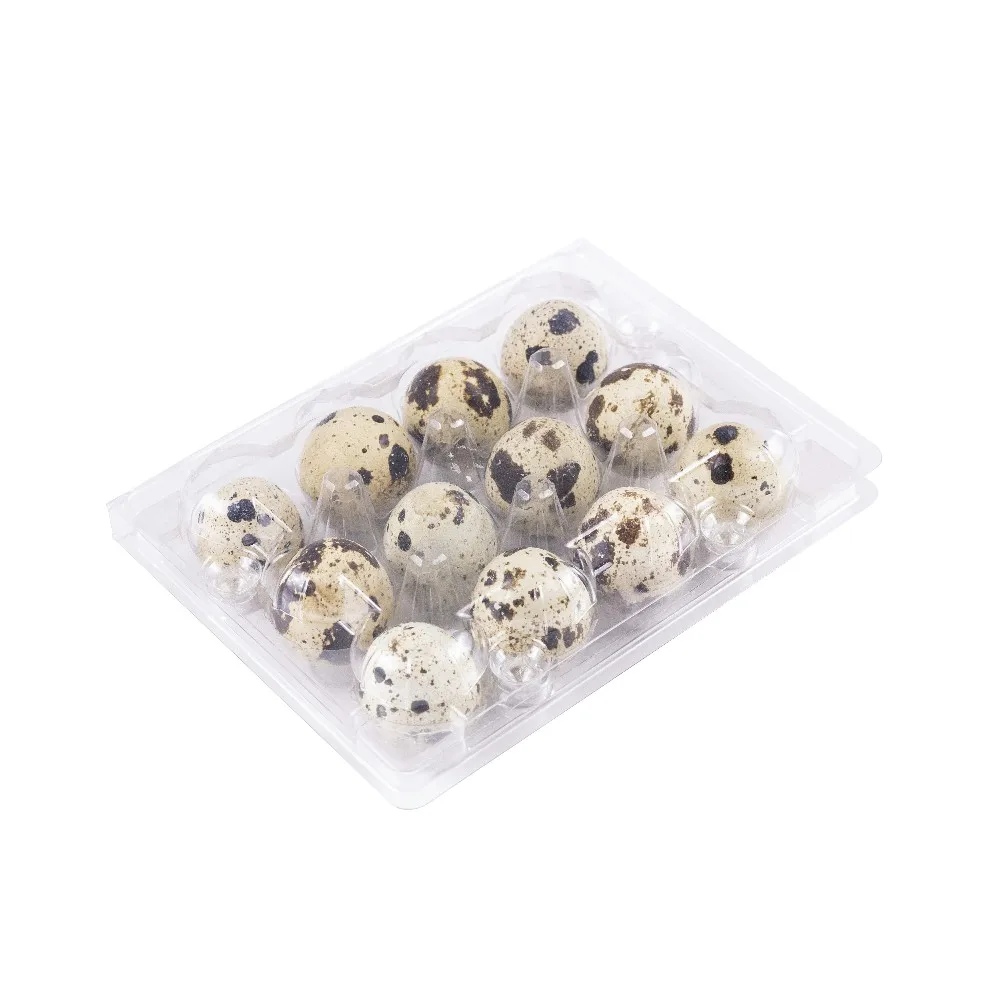 12 Quail Egg Tray Plastic