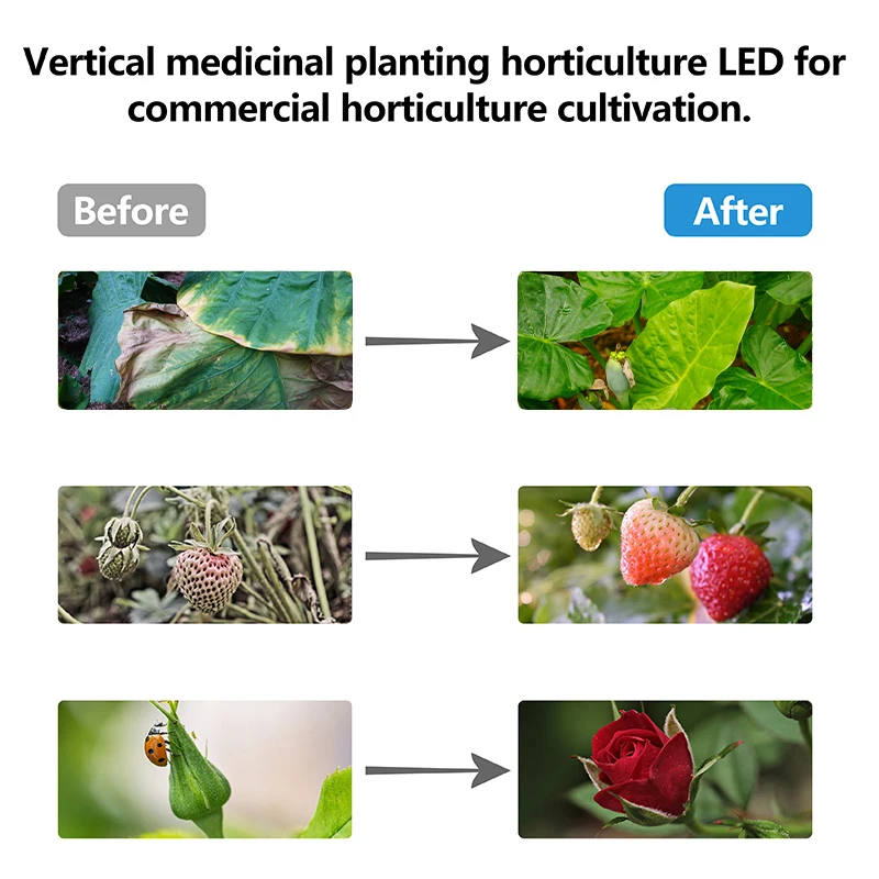 Greenhouse Indoor Plant 100W 200W 300W 1000W VEG BLOOM 0-10V Dimmable Switch Full Spectrum led grow light