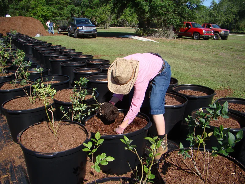 Durable long leg 25 Liter 30 liter plastic pots round blueberry pot