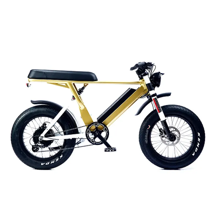 
 Big power Full suspension Fat Tire Dirt  48V 1000W Electric bicycle Snow Ebike  