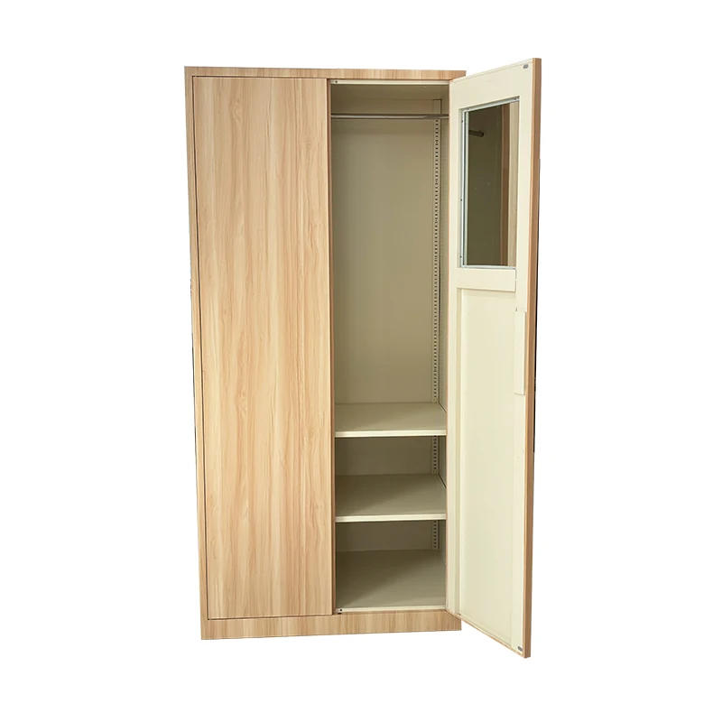 Direct Factory Sale Modern Design 2 Door Metal Wardrobe Storage Cabinet Knock-Down Steel Locker with Hanging Rod