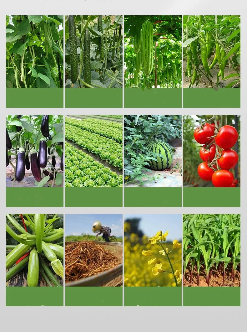 Vegetable Strawberry Garden Soil Release Bulb Wooden Handle Mini Planter seed Transplanting Tool