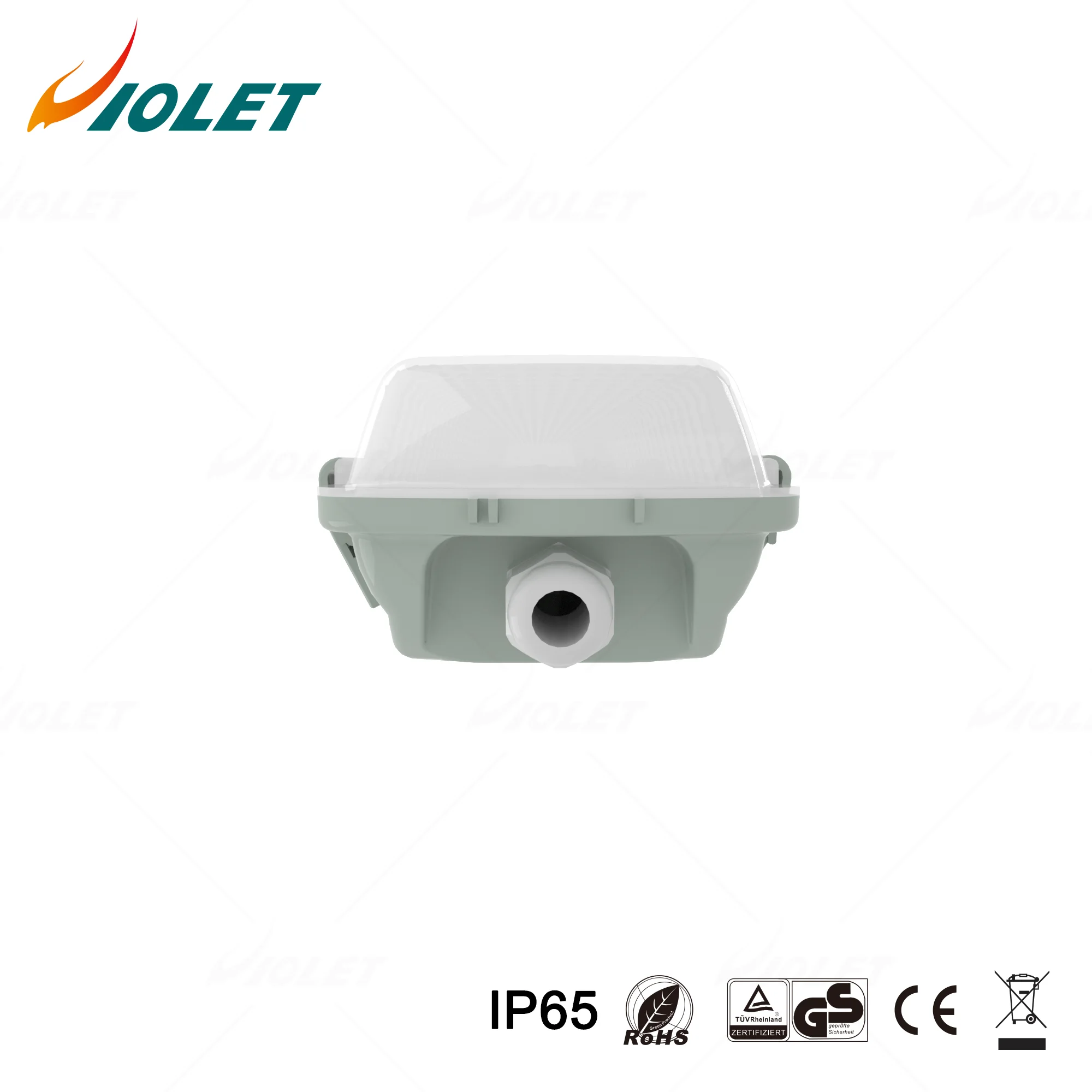  GRP Housing IP65 IK08 LED Waterproof Lighting for Poultry Cattle