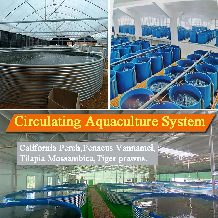 Aquaculture Fish Farming Equipments  Water Filters For Tiger Prawns