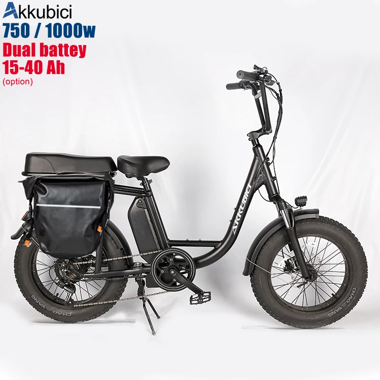 Akkubici china 48V 750 1000 w fast big wheel step through electric hybrid fat tire e bike fat tyre snow beach women ebike e-bike